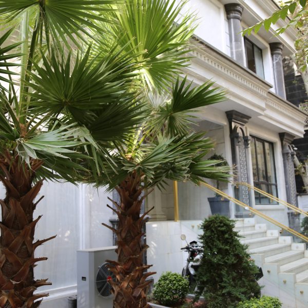 محوطه‌‎سازی یک ساختمان لوکس در تهران با سنگ طبیعی نیریز و مرمریت مشکی