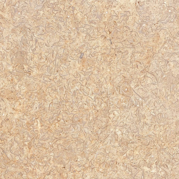 سنگ مرمریت ایرانی گندمک با فینیشینگ صیقلی